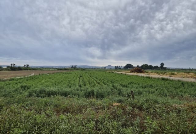 Tontti myytävänä paikassa Guardamar del Segura - 45 000 € (Ref: 9844325)