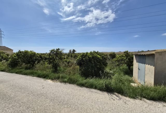 Tontti myytävänä paikassa Guardamar del Segura - 34 000 € (Ref: 9844442)
