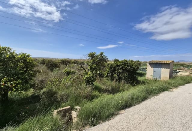 Tontti myytävänä paikassa Guardamar del Segura - 34 000 € (Ref: 9844442)