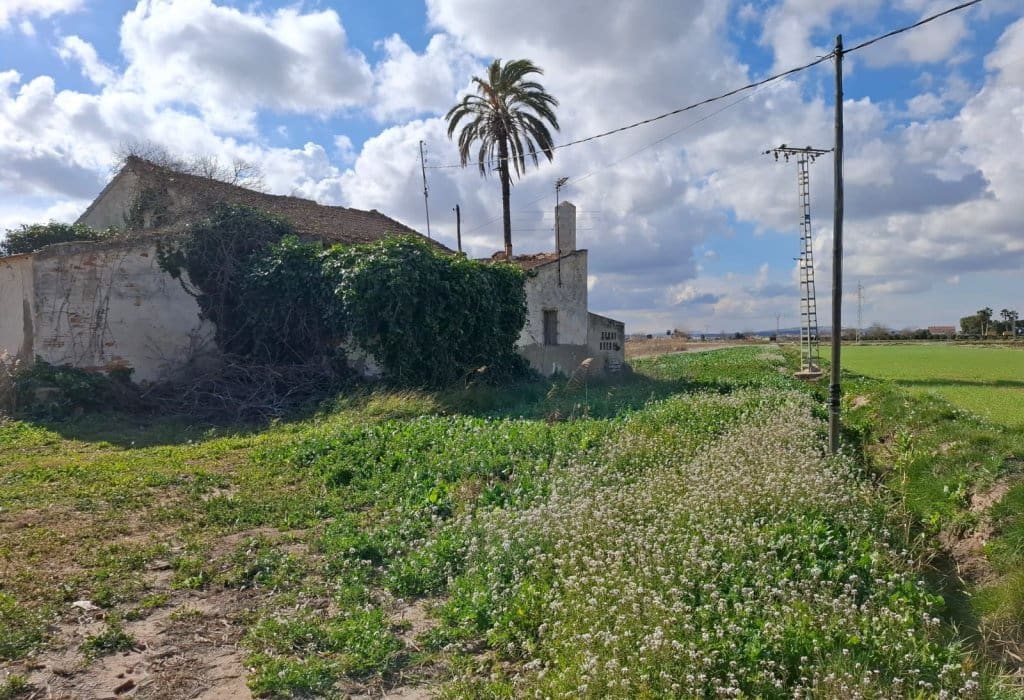 4 slaapkamer Huis te koop in Ciudad Quesada - € 125.000 (Ref: 9893018)