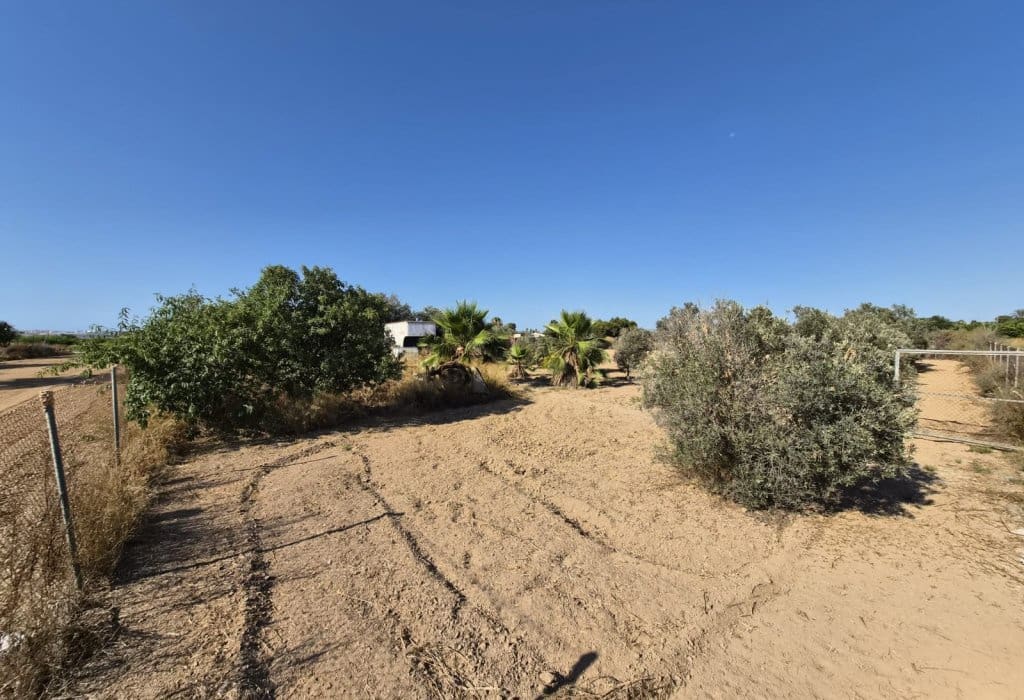 Finca/Landehus til salg i Guardamar del Segura - € 49.900 (Ref: 9946124)