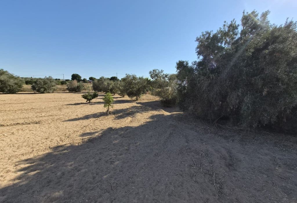 Finca/Landehus til salg i Guardamar del Segura - € 49.900 (Ref: 9946124)