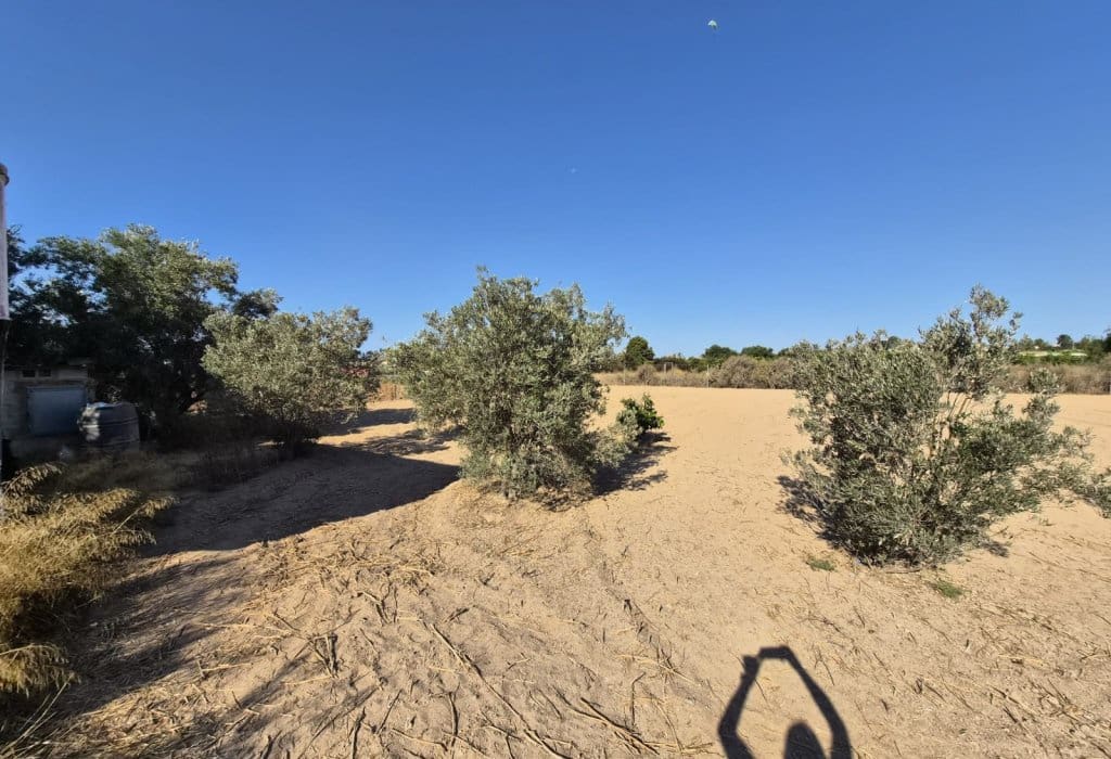 Finca/Landehus til salg i Guardamar del Segura - € 49.900 (Ref: 9946124)