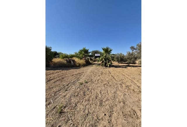 Finca/Landehus til salg i Guardamar del Segura - € 49.900 (Ref: 9946124)
