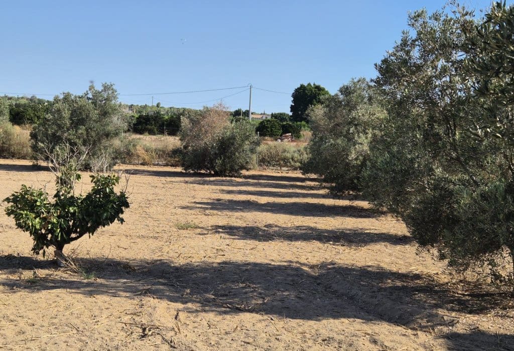Finca/Landehus til salg i Guardamar del Segura - € 49.900 (Ref: 9946124)