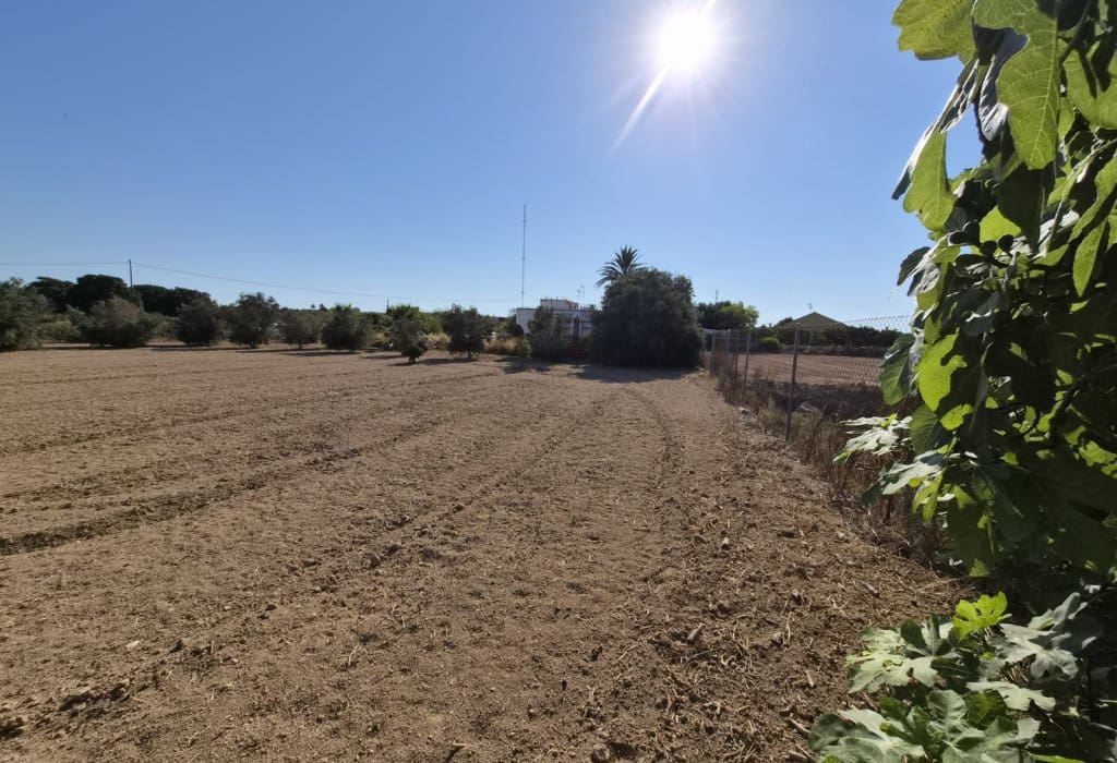 Finca/Landehus til salg i Guardamar del Segura - € 49.900 (Ref: 9946124)