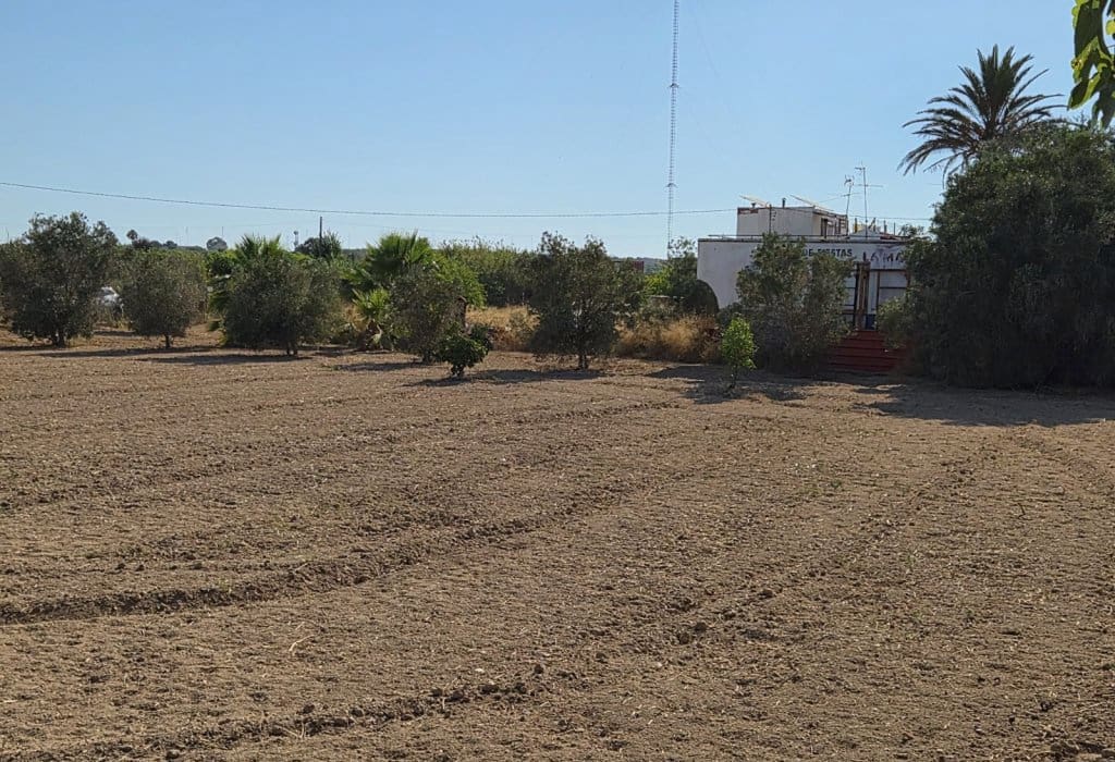 Finca/Landehus til salg i Guardamar del Segura - € 49.900 (Ref: 9946124)