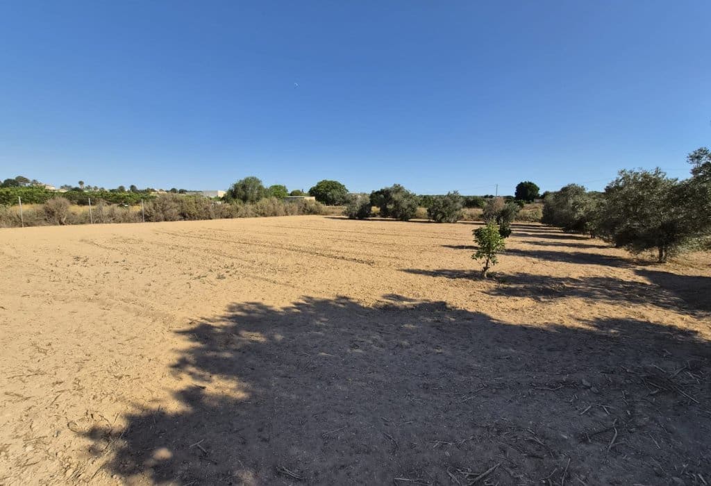 Finca/Landehus til salg i Guardamar del Segura - € 49.900 (Ref: 9946124)