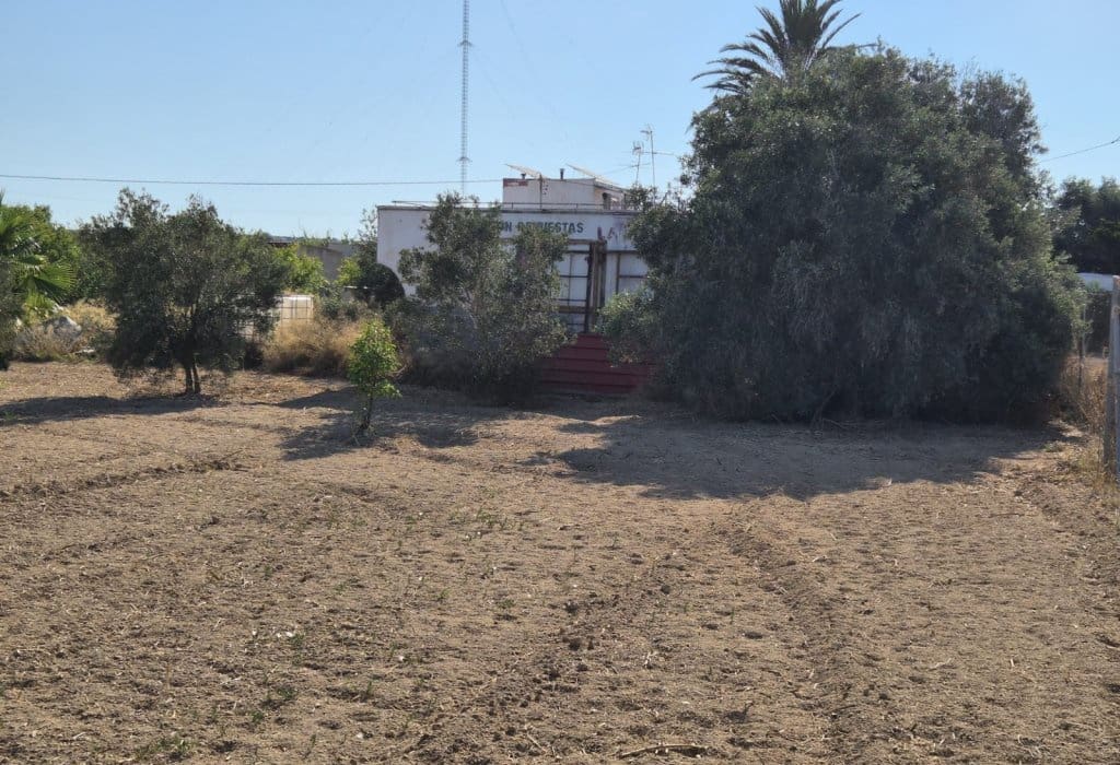 Finca/Landehus til salg i Guardamar del Segura - € 49.900 (Ref: 9946124)