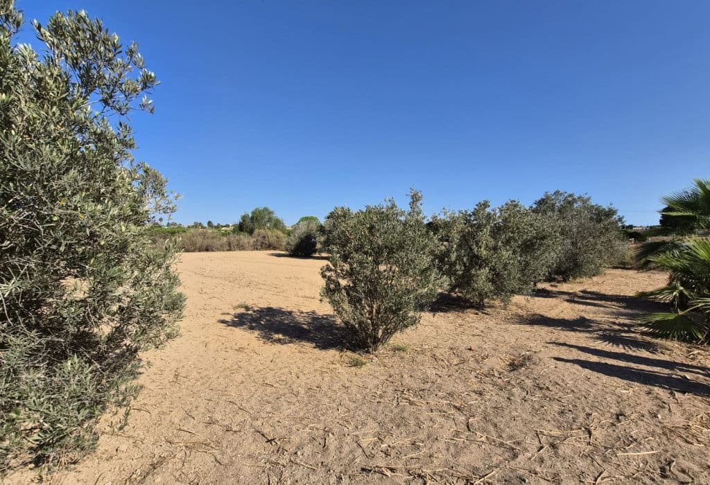 Finca/Landehus til salg i Guardamar del Segura - € 49.900 (Ref: 9946124)
