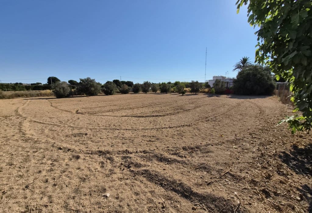 Finca/Landehus til salg i Guardamar del Segura - € 49.900 (Ref: 9946124)