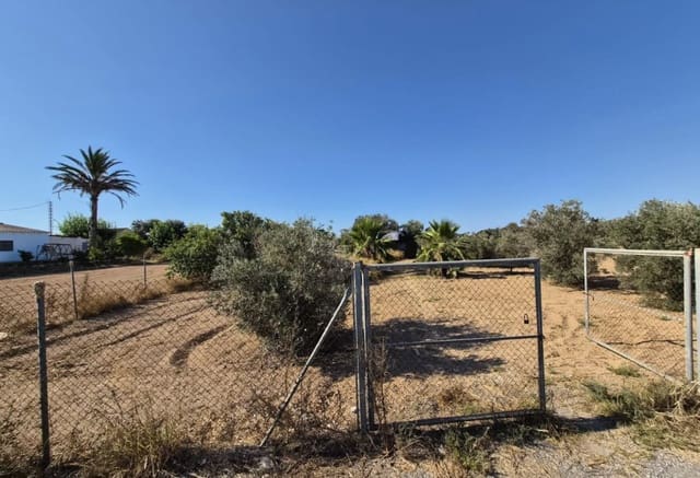 Finca/Landehus til salg i Guardamar del Segura - € 49.900 (Ref: 9946124)