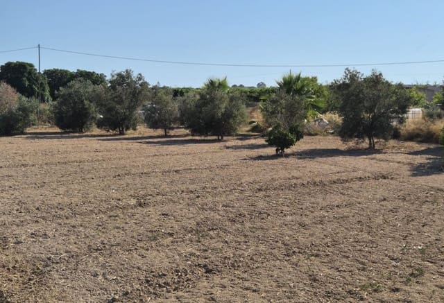 Finca/Landehus til salg i Guardamar del Segura - € 49.900 (Ref: 9946124)