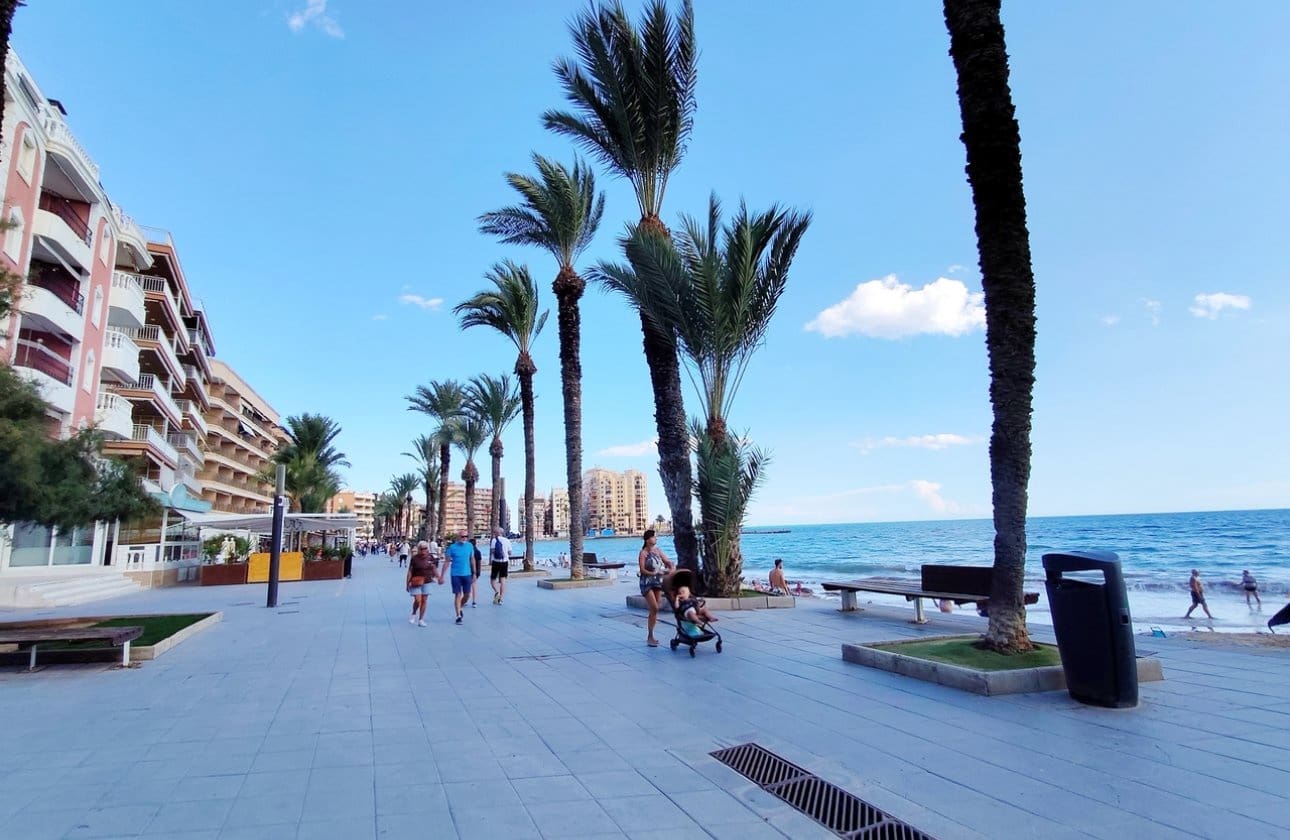 1 chambre Appartement de Plage à vendre à Torrevieja - 156 500 € (Ref: 10168770)