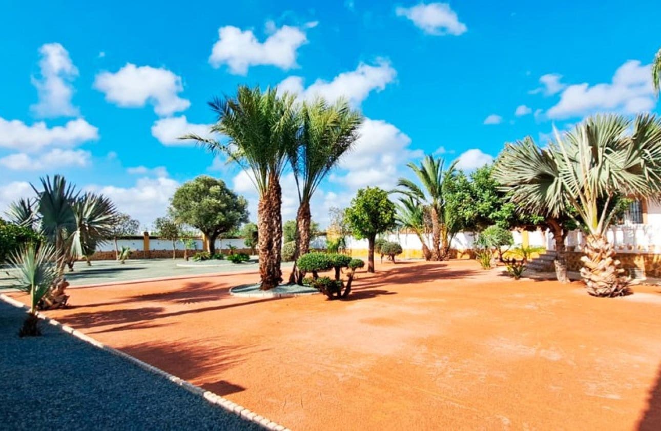 3 sypialnia Willa na sprzedaż w Catral - 385 000 € (Ref: 9134147)