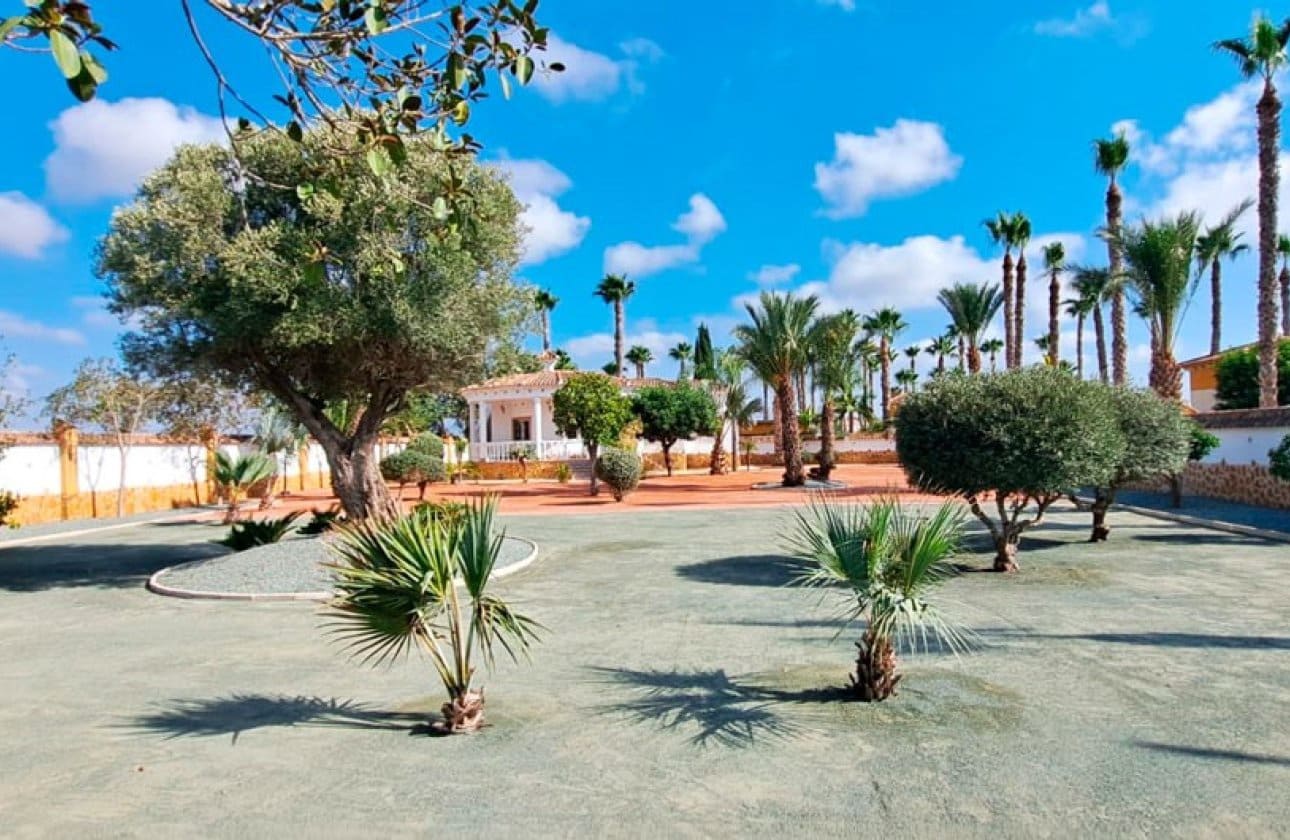 3 sypialnia Willa na sprzedaż w Catral - 385 000 € (Ref: 9134147)