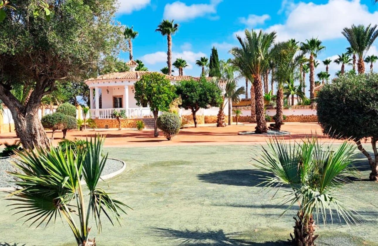 3 sypialnia Willa na sprzedaż w Catral - 385 000 € (Ref: 9134147)