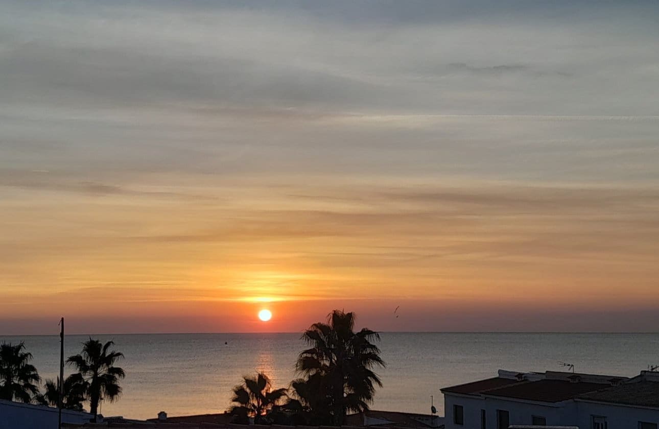 1 soverom Penthouse til salgs i Playa Flamenca - € 269 500 (Ref: 9428963)