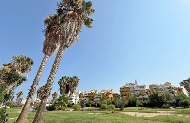 Ático de 2 habitaciones en Punta Prima, Torrevieja en venta con piscina - 297.000 € (Ref: 9428986)