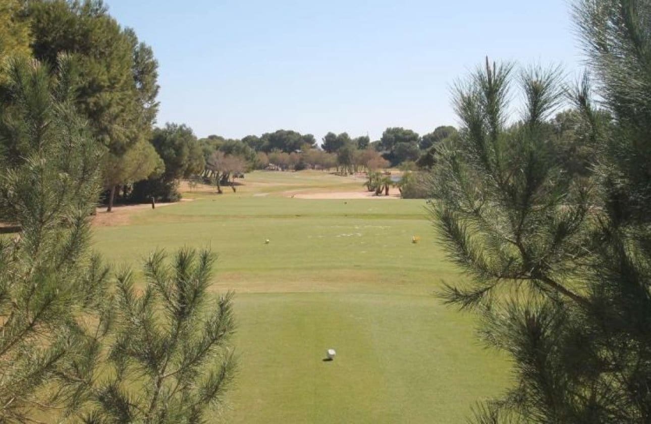 3 bedroom Villa for sale in Pilar de la Horadada - € 319,000 (Ref: 9429382)