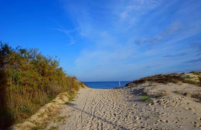 5 bedroom Bungalow for sale in Torre de la Horadada, Pilar de la Horadada - € 219,900 (Ref: 9494369)