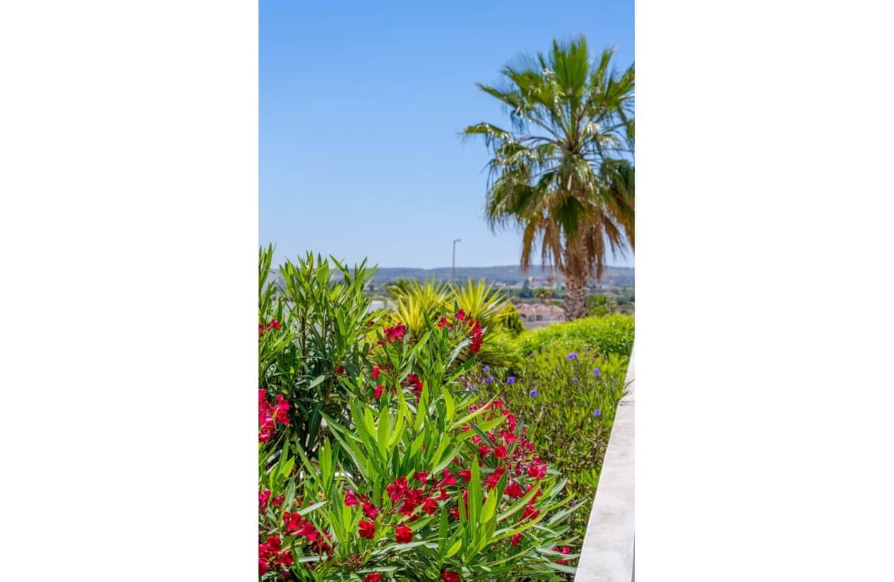3 soveværelse Villa til salg i La Marina med swimmingpool - € 595.000 (Ref: 9852120)
