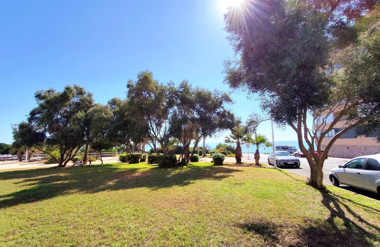 1 slaapkamer Strandappartement te koop in La Mata met zwembad - € 127.000 (Ref: 9948376)
