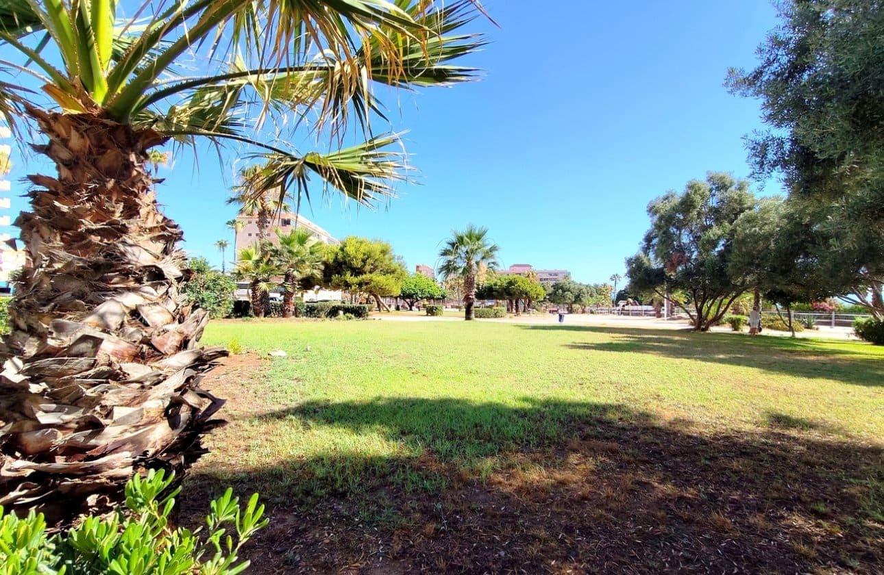 1 slaapkamer Strandappartement te koop in La Mata met zwembad - € 127.000 (Ref: 9948376)