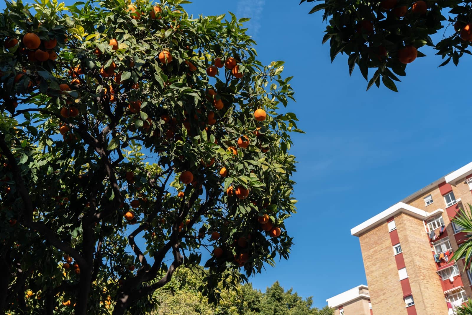 Apartamento de 3 habitaciones en Fuengirola en venta - 275.000 € (Ref: 9559153)