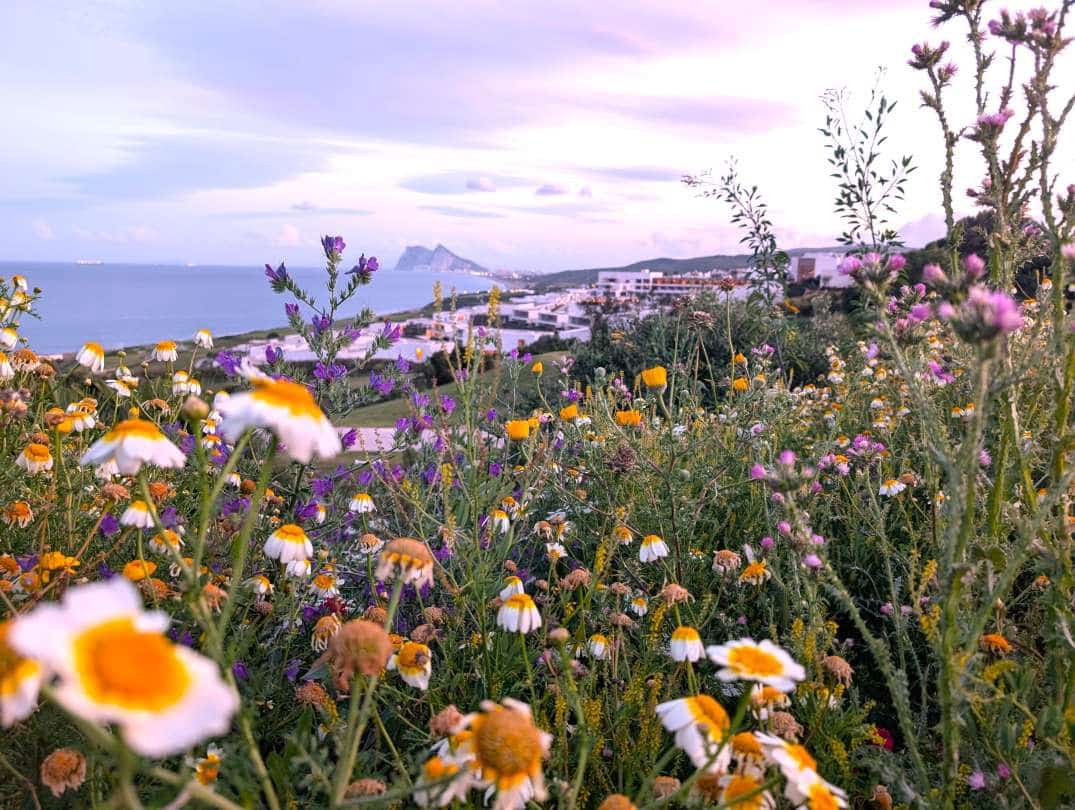 4 soveværelse Semi-Rækkehus til salg i La Linea de la Concepcion med swimmingpool - € 280.000 (Ref: 9468787)