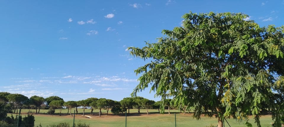 2 soveværelse Penthouse til leje i La Alcaidesa med swimmingpool - € 1.500 (Ref: 9468788)