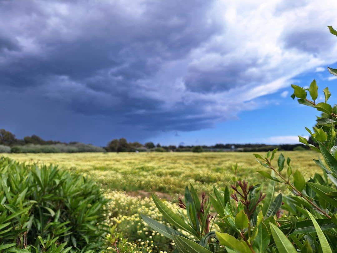2 bedroom Apartment for sale in Pueblo Nuevo de Guadiaro with pool - € 355,000 (Ref: 9468794)
