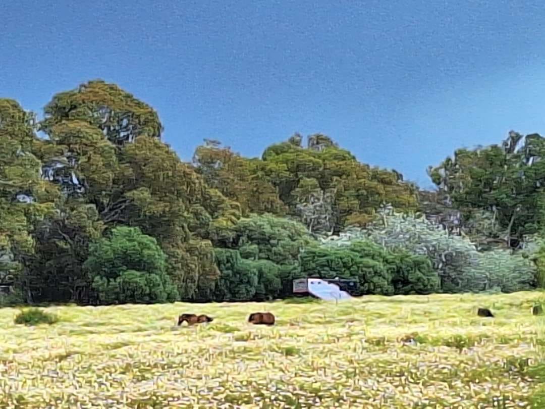 2 bedroom Apartment for sale in Pueblo Nuevo de Guadiaro with pool - € 355,000 (Ref: 9468794)