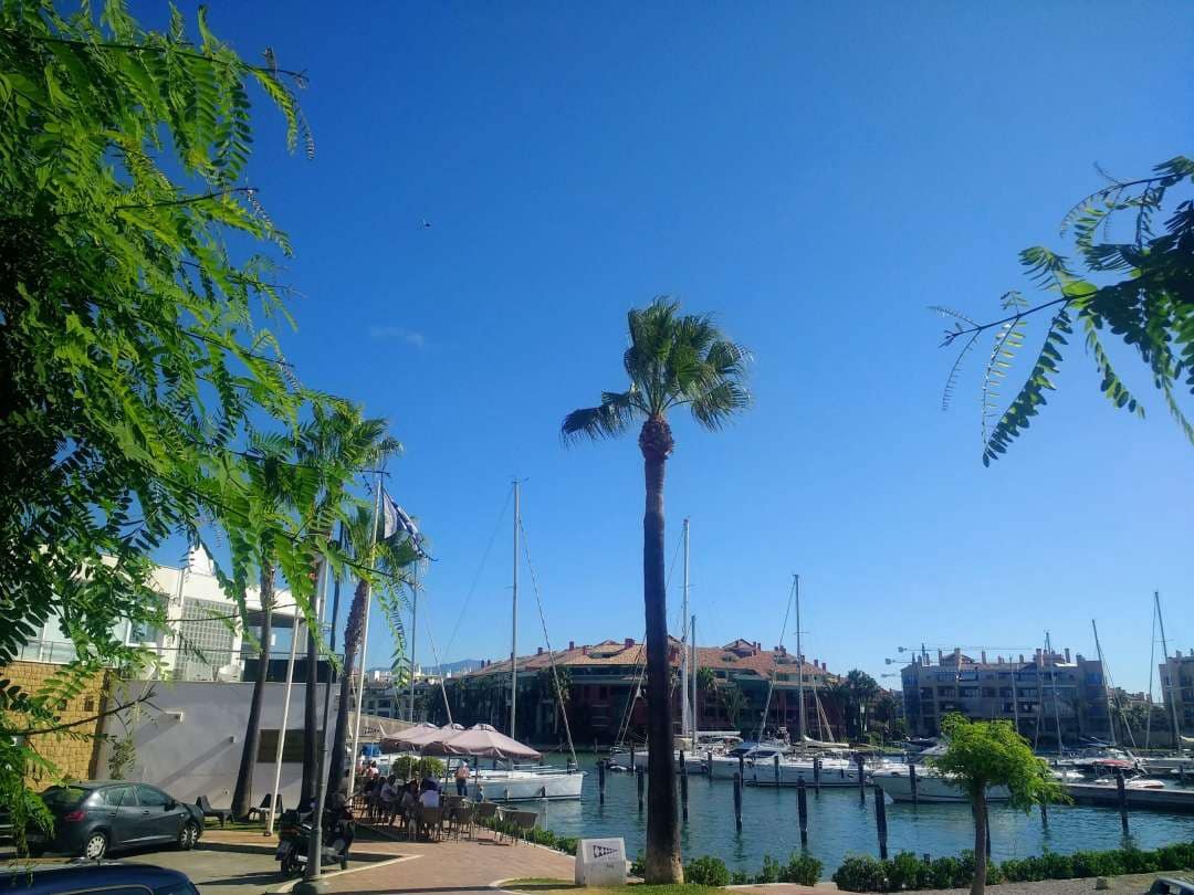 3 bedroom Flat for rent in San Roque with pool - € 1,600 (Ref: 9468796)