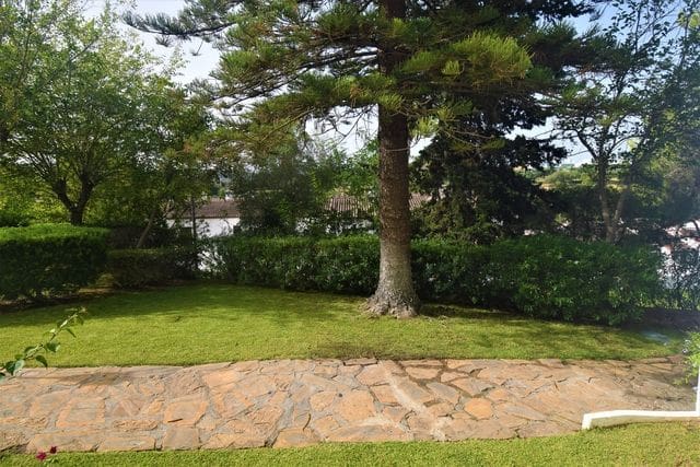 2 soveværelse Lejlighed til leje i San Roque - € 1.300 (Ref: 9468799)