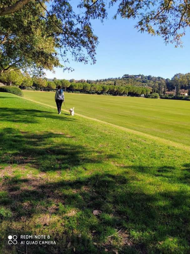 2 bedroom Flat for sale in Sotogrande with pool - € 900,000 (Ref: 9468802)