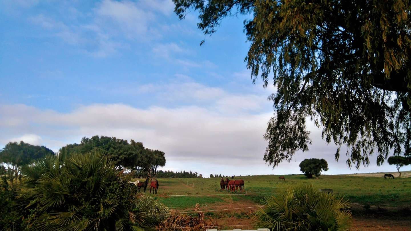 2 bedroom Flat for sale in Sotogrande with pool - € 900,000 (Ref: 9468802)