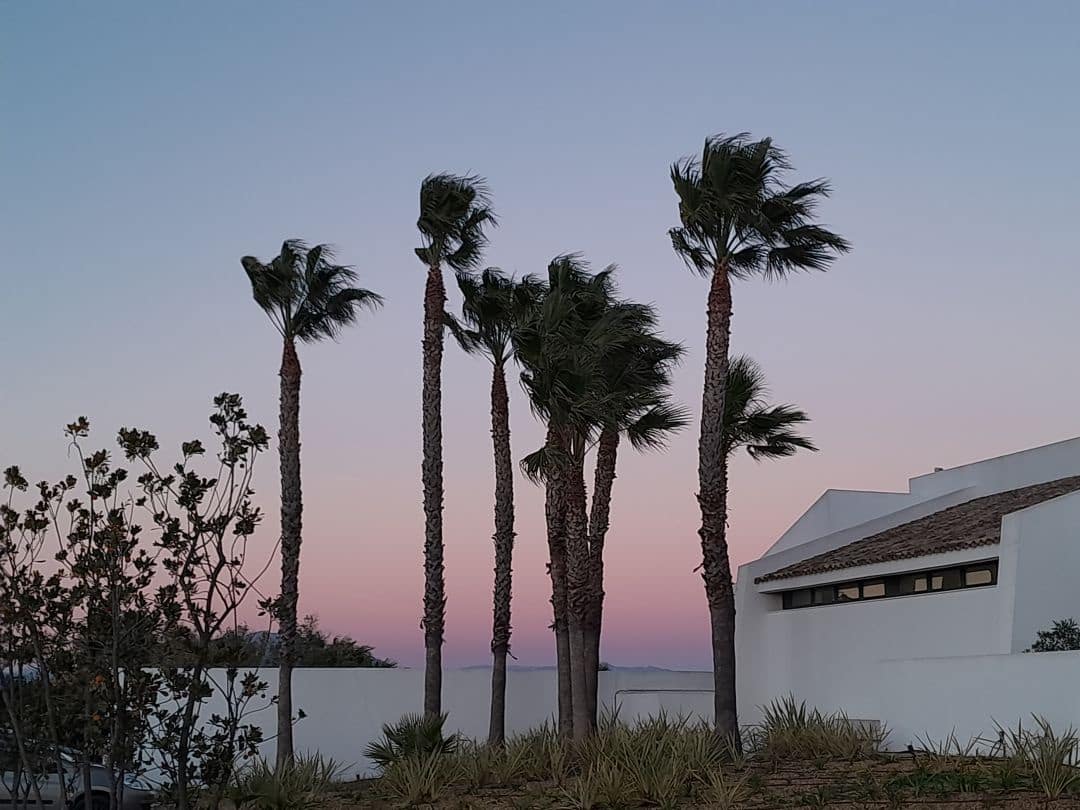 3 bedroom Apartment for sale in La Alcaidesa - € 299,000 (Ref: 9468806)