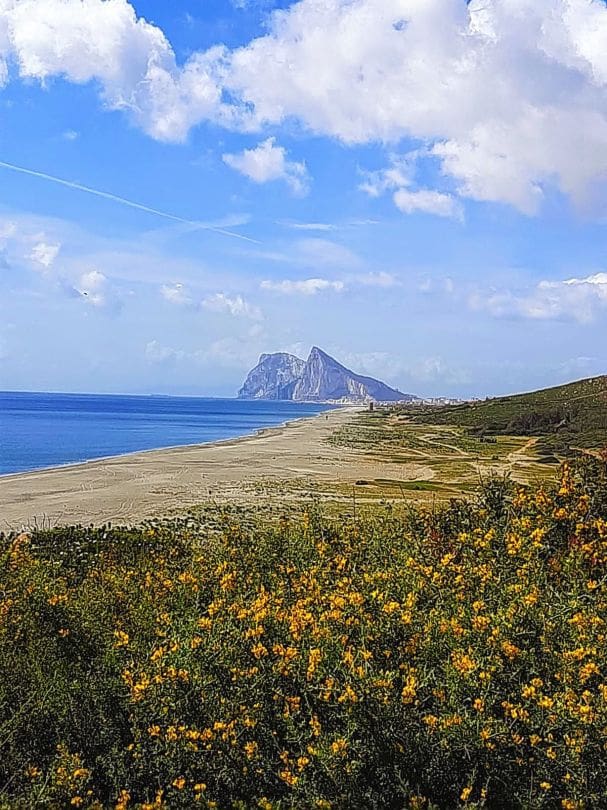 3 bedroom Villa for sale in La Linea de la Concepcion with pool - € 575,000 (Ref: 9468807)