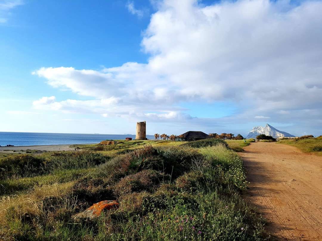 Pareado de 3 habitaciones en La Línea de la Concepción en venta con piscina - 290.000 € (Ref: 9478918)