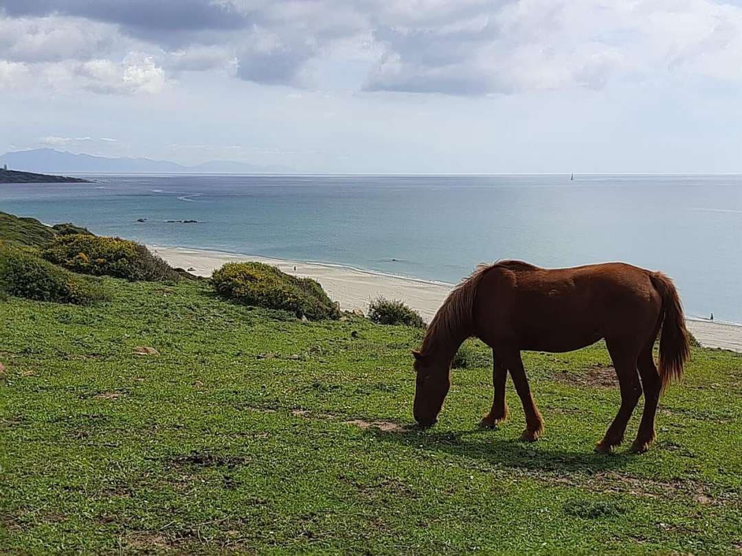 2 makuuhuone Huoneisto myytävänä paikassa La Linea de la Concepcion mukana uima-altaan - 350 000 € (Ref: 9532992)