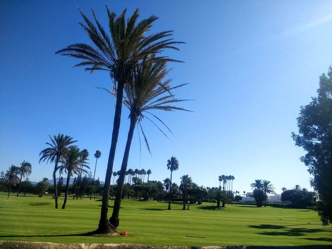 2 Zimmer Wohnung zu vermieten in Sotogrande - 2.000 € (Ref: 9535363)