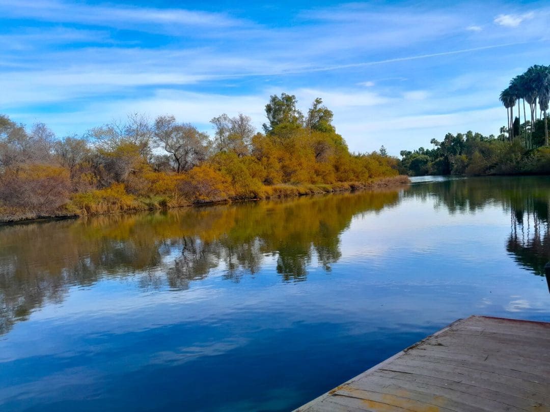 6 Zimmer Villa zu verkaufen in La Linea de la Concepcion mit Pool - 3.995.000 € (Ref: 9542520)