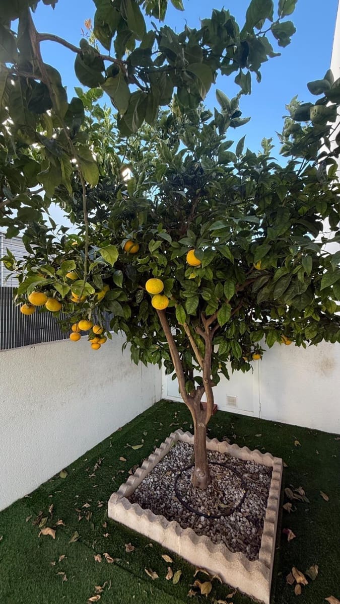 3 soveværelse Rækkehus til salg i Aguas Nuevas med swimmingpool - € 350.000 (Ref: 9571228)