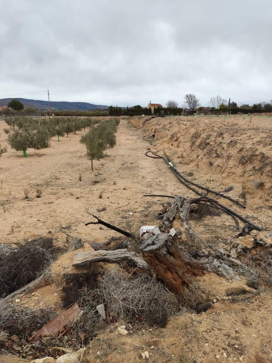 Terreno/Finca Rústica en Villena en venta - 50.000 € (Ref: 9586563)