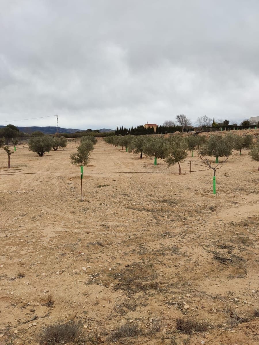 Terreno/Finca Rústica en Villena en venta - 50.000 € (Ref: 9586563)