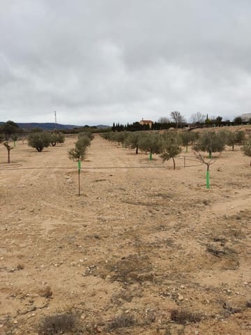 Terreno/Finca Rústica en Villena en venta - 50.000 € (Ref: 9586563)