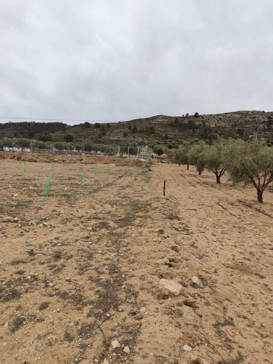 Terreno/Finca Rústica en Villena en venta - 50.000 € (Ref: 9586563)