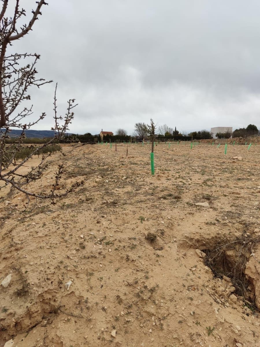 Terreno/Finca Rústica en Villena en venta - 50.000 € (Ref: 9586563)