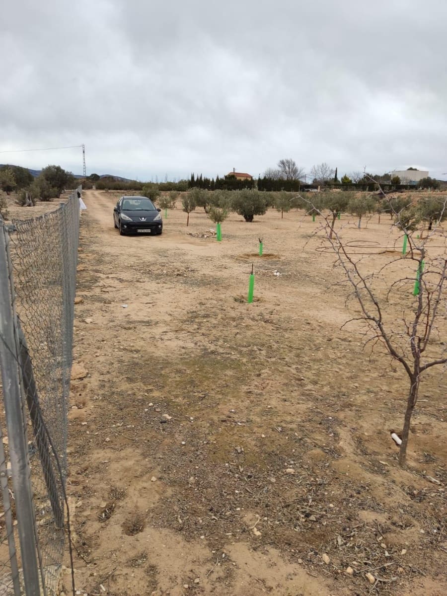 Terreno/Finca Rústica en Villena en venta - 50.000 € (Ref: 9586563)